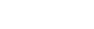 The Leopard Website Logo